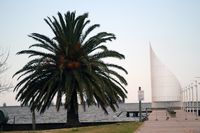 Junín